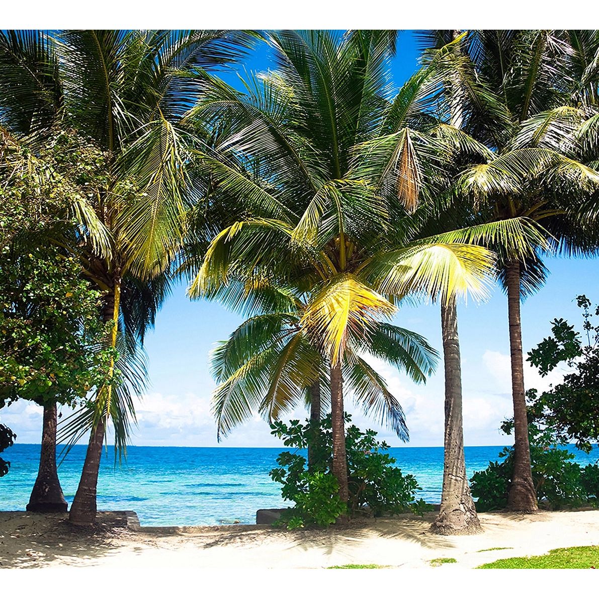 Tropical Paradise: Palm Trees, Sea, and Sand Wall Mural
