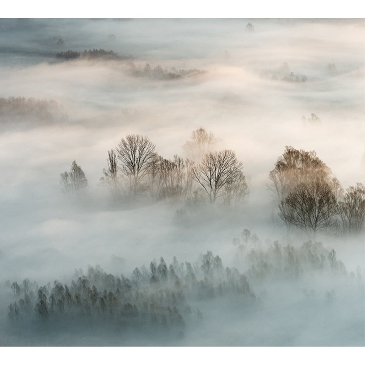 Mystical Mist: Fog Over Mountains and Forest