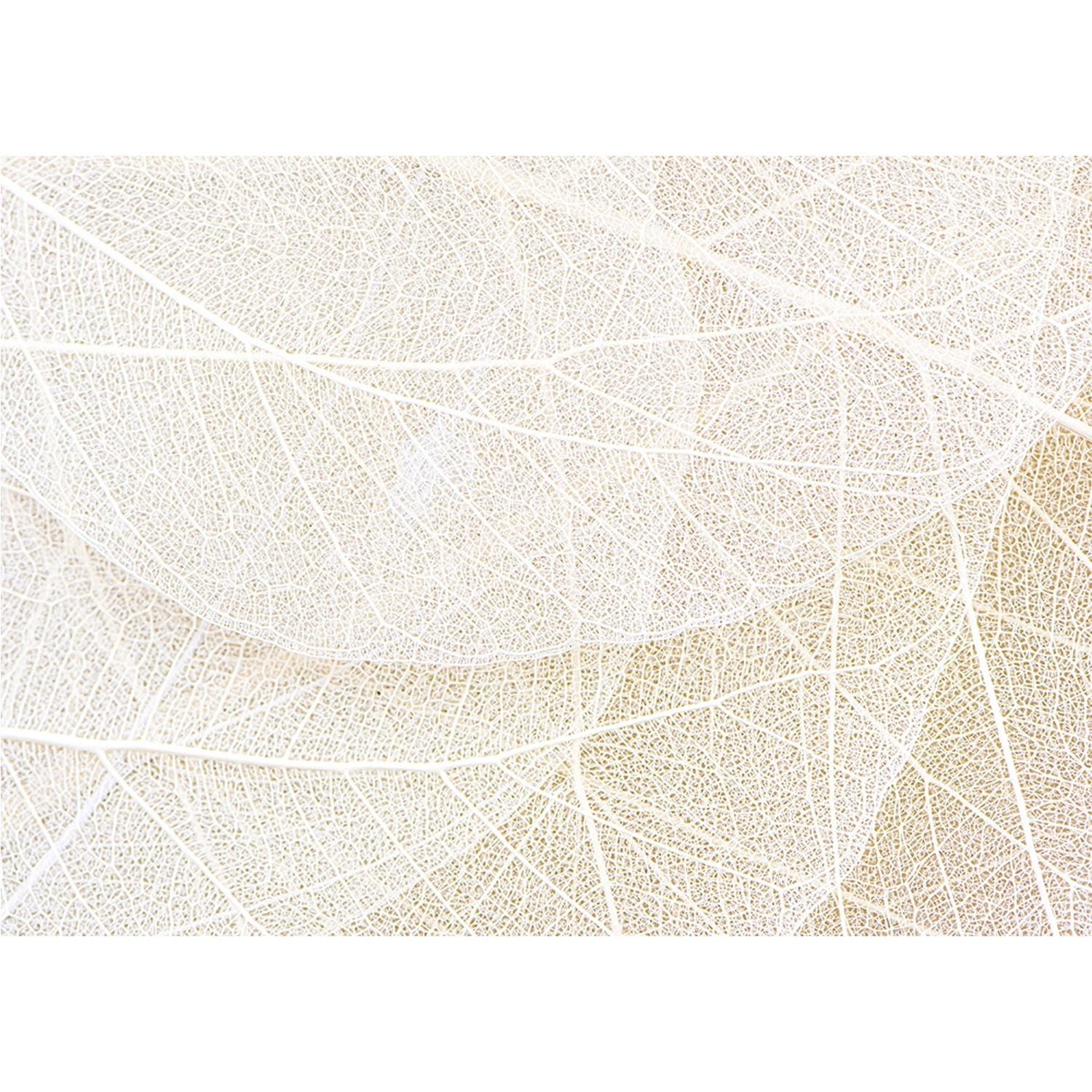 Cream Leaf Strings Wall Mural: Nature's Elegance