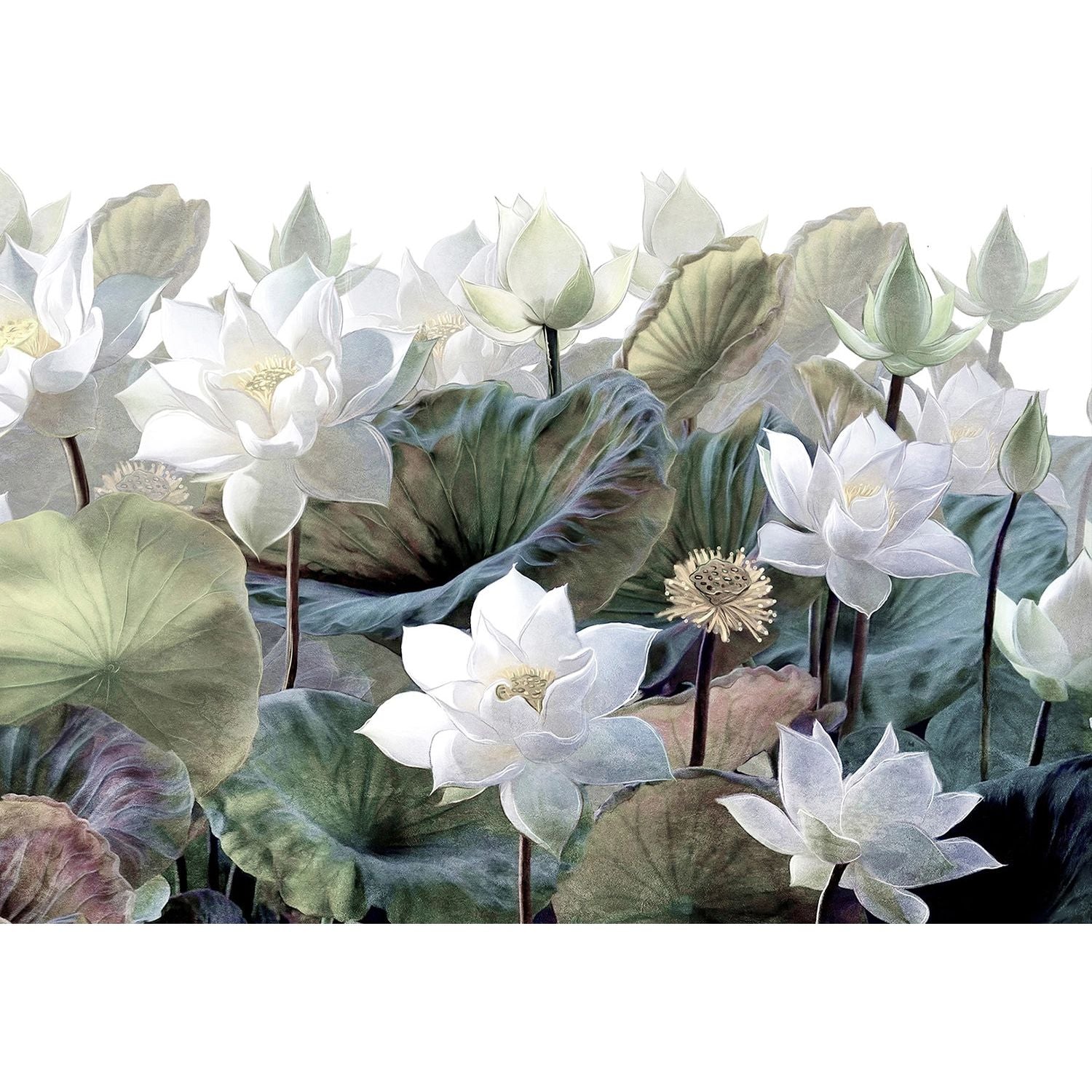 Blooming Elegance: Big White Flowers Wall Mural