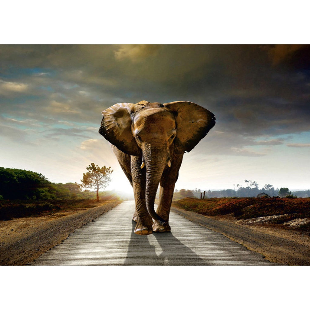 Graceful Movement: Majestic Elephant Wall Mural