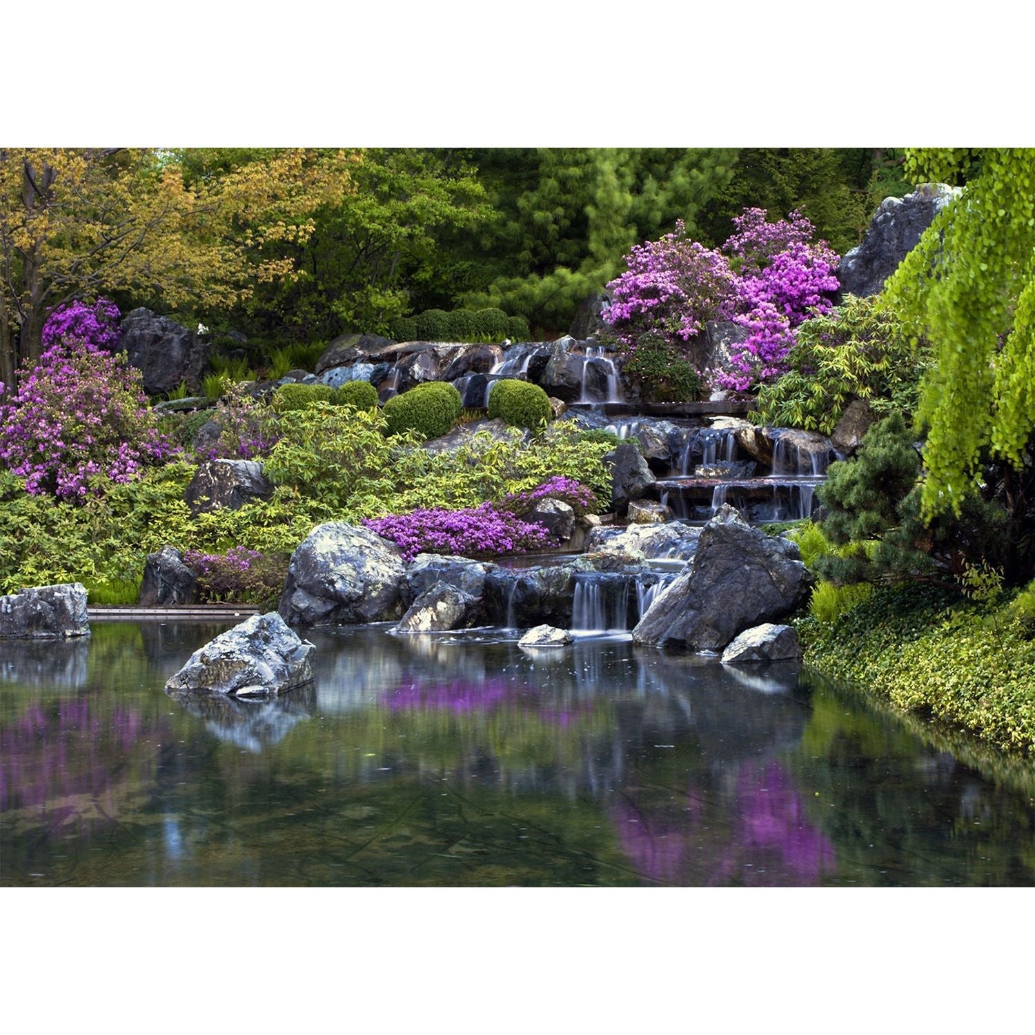 Whispering Waters: A Japanese Garden's Tranquil  Wall Mural