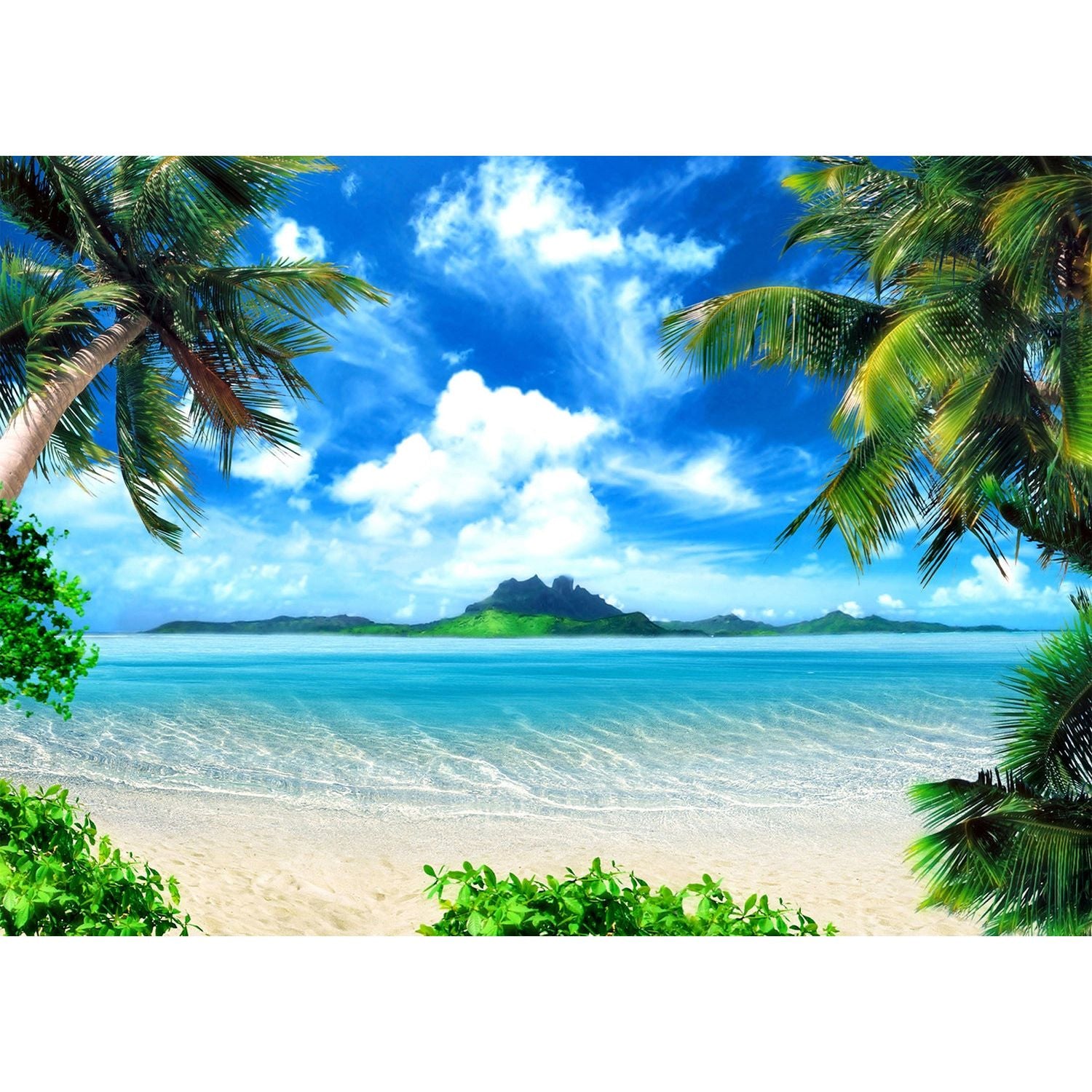 Eternal Summer: Palm Paradise and Ocean Bliss
