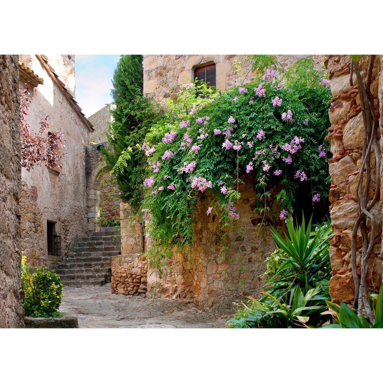 Hidden Charm: Blossoms in the Old Village