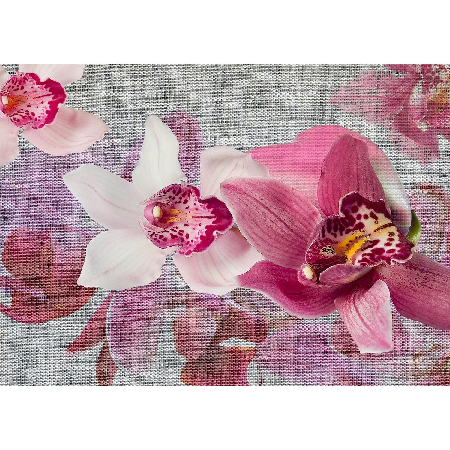 Orchid Elegance: A Tapestry of Floral Splendor Wall Mural