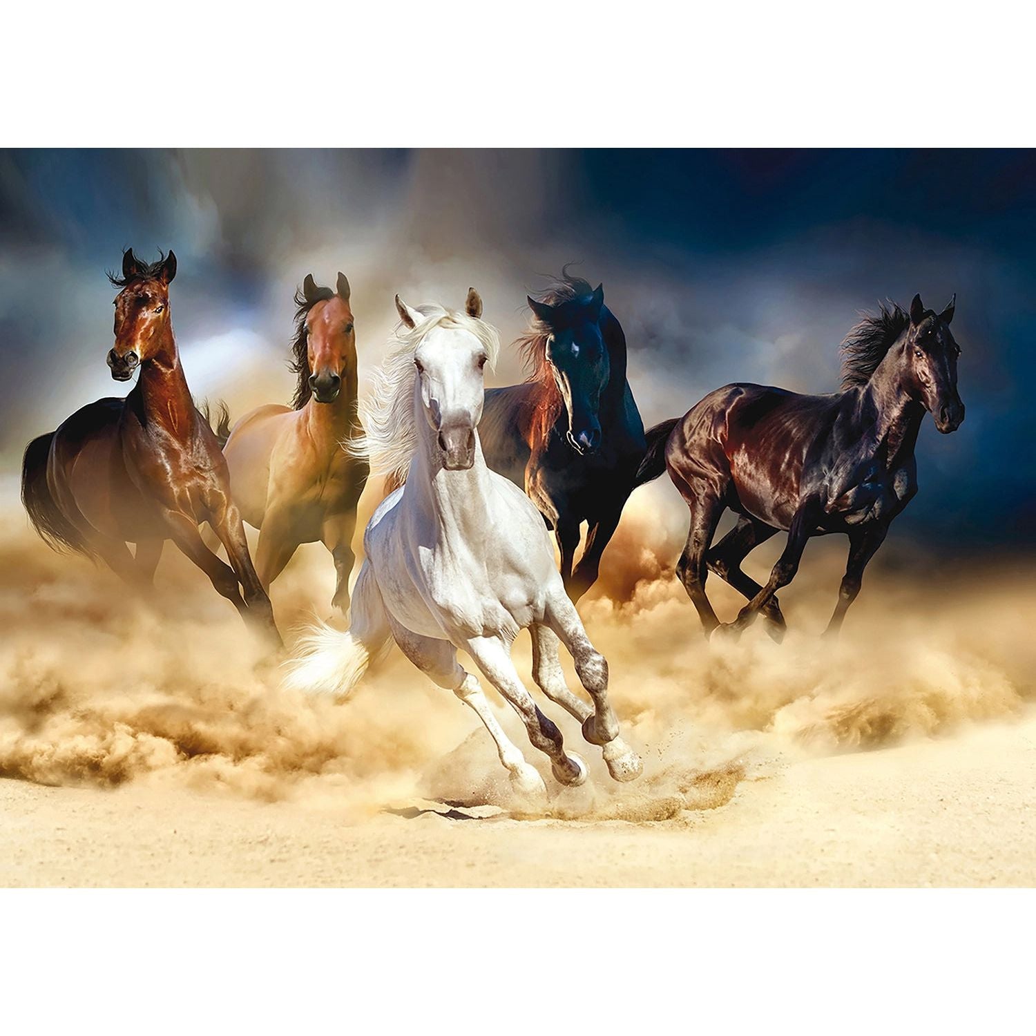 Wild Sprint: The Freedom of Horses Wall Mural