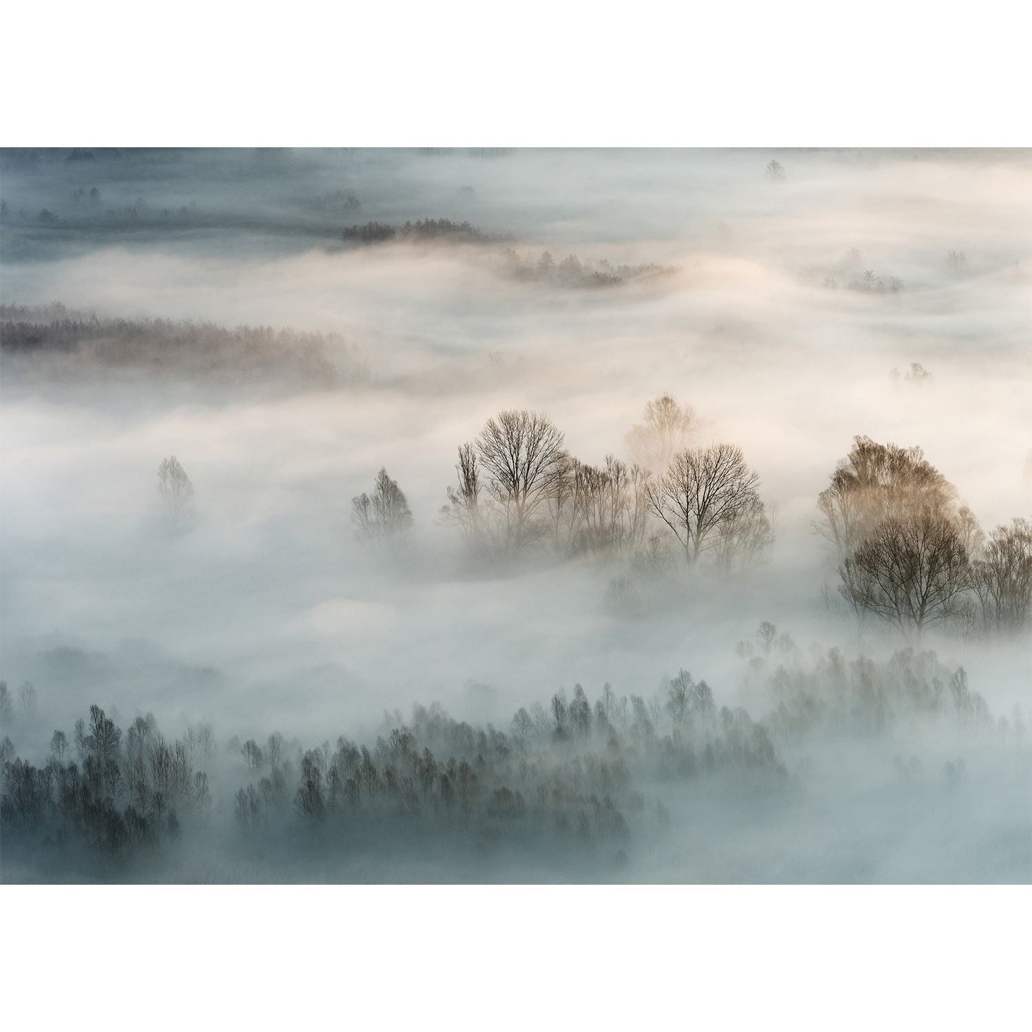 Mystical Mist: Fog Over Mountains and Forest