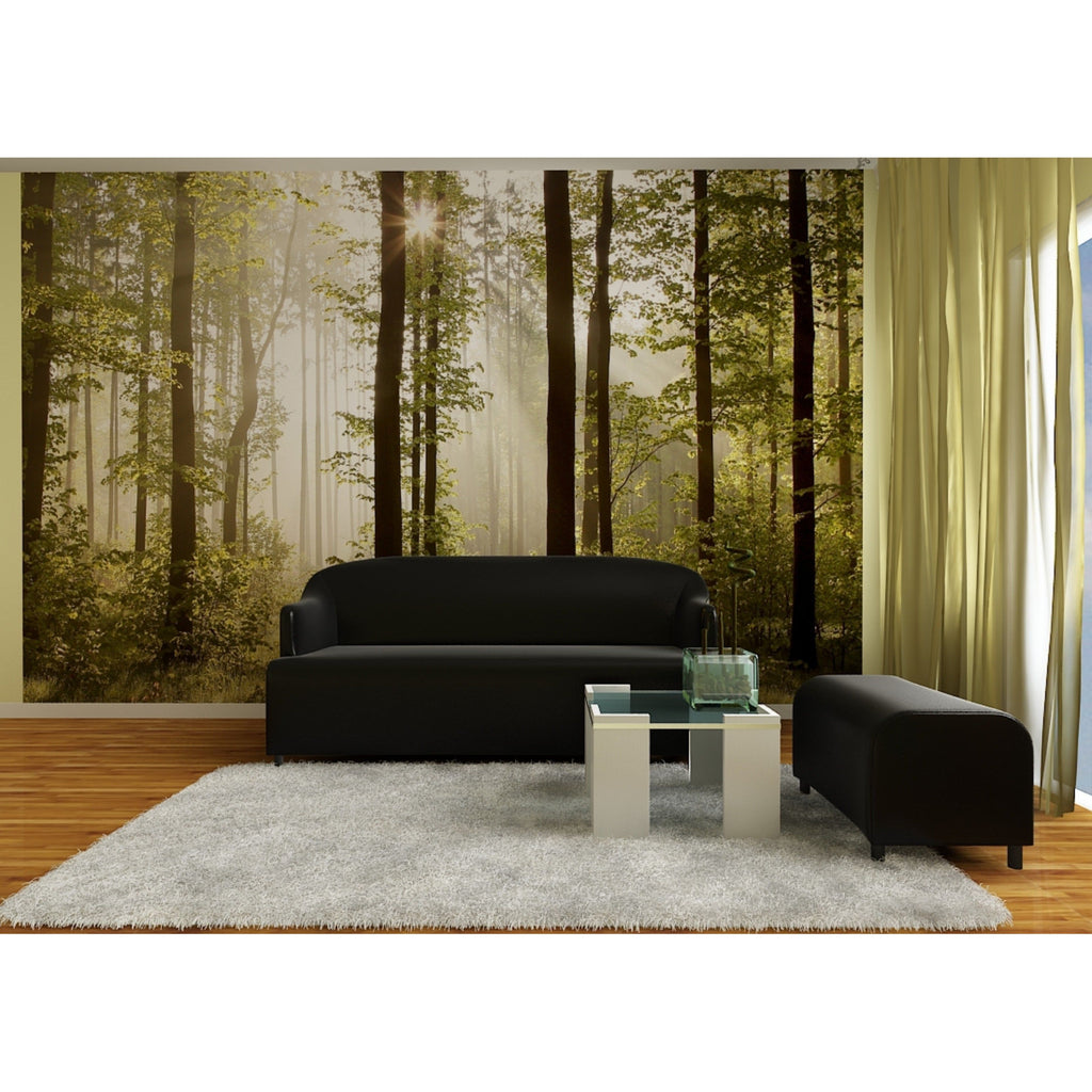 Sunlit Forest Canopy: Majestic Trees Wall Mural