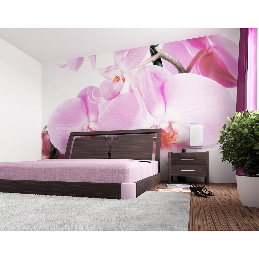 Pink Petal Paradise: Floral Wall Mural