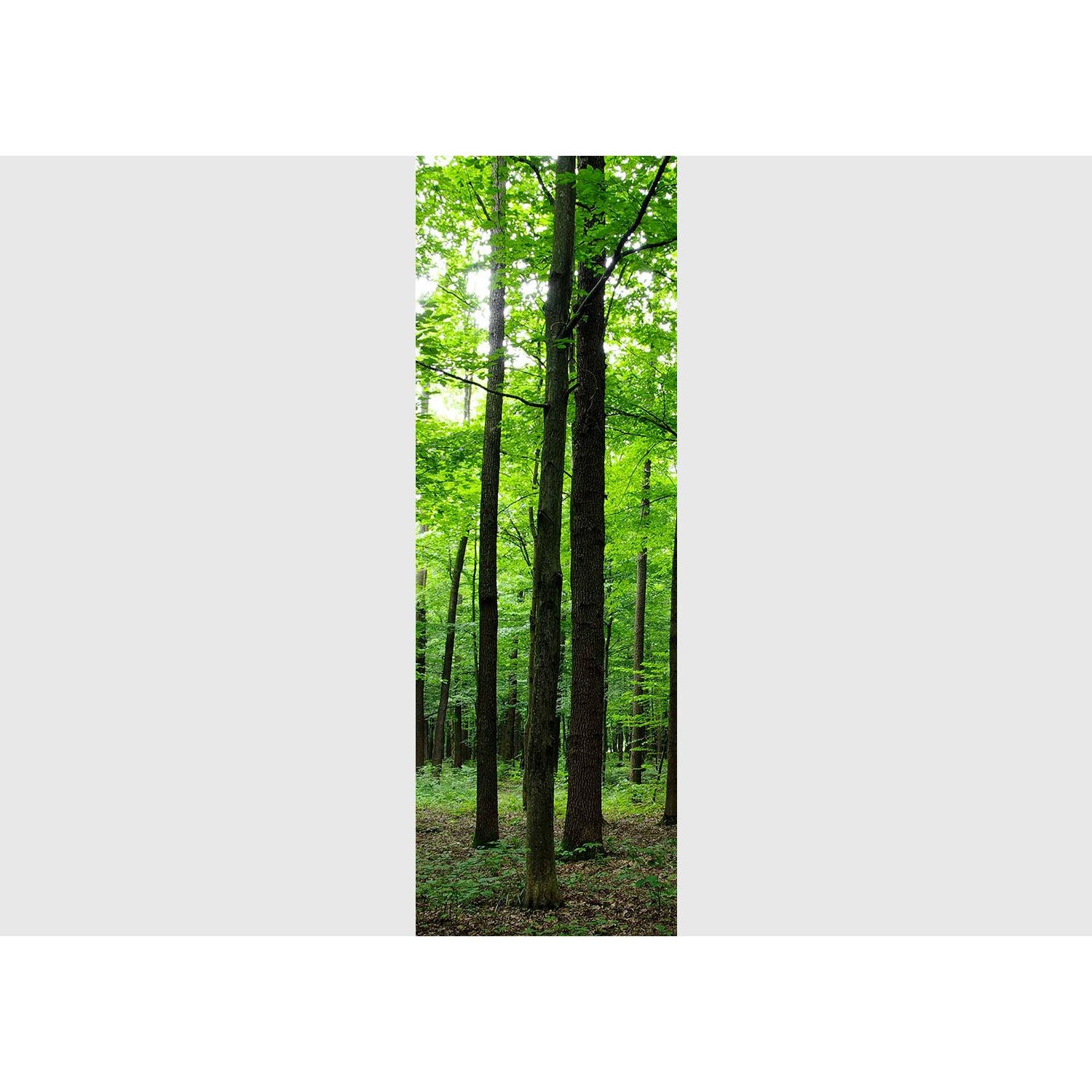 Towering Forest: High Trees & Green Leafs Wall Mural