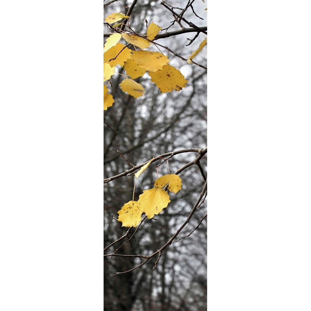Golden Glow: Yellow Leaves on Chilly Canvas Wall Mural