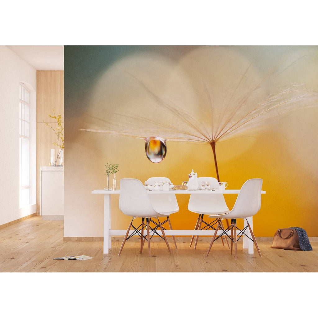 Dandelion Dewdrop Elegance Wall Mural