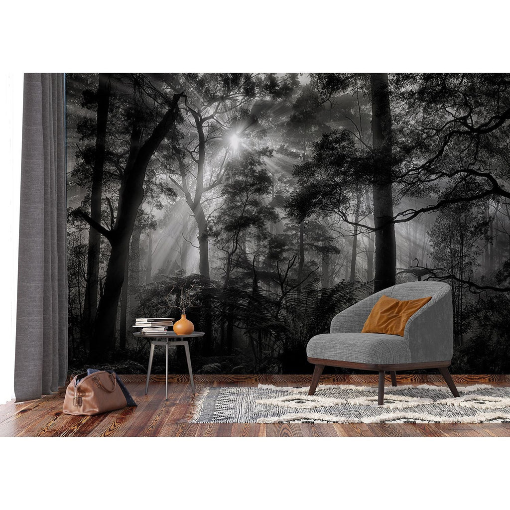 Sunbeam Serenade Forest Wall Mural