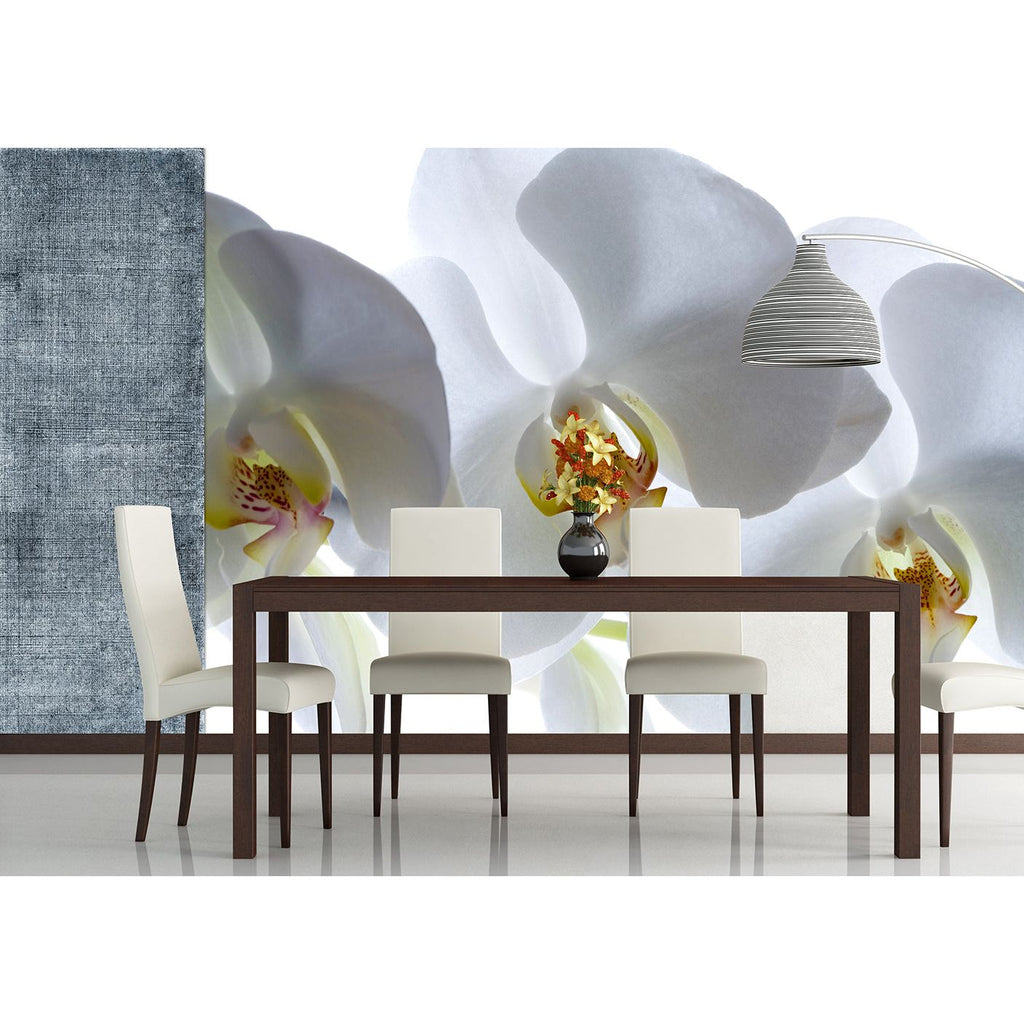 White Elegance: Majestic White Flower Wall Mural